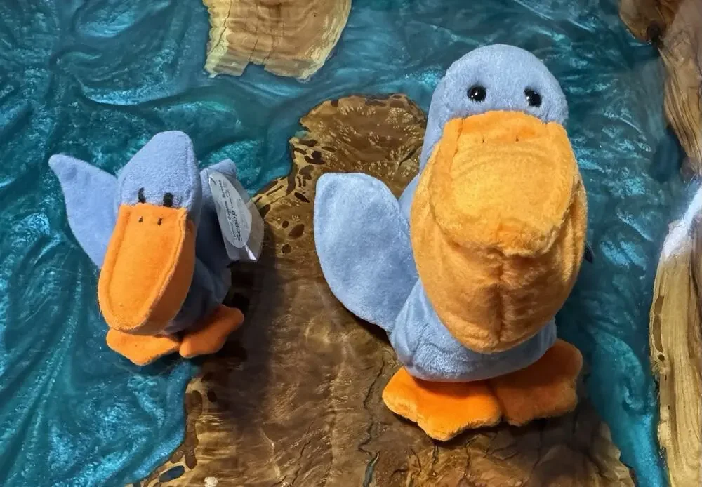 Ty Beanie Babies Scoop Pelican Plush Lot of 2